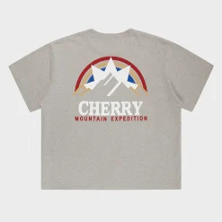 Cherry Tees & Long Sleeves-Mountain Expedition Boxy Pocket Tee (Heather Grey)